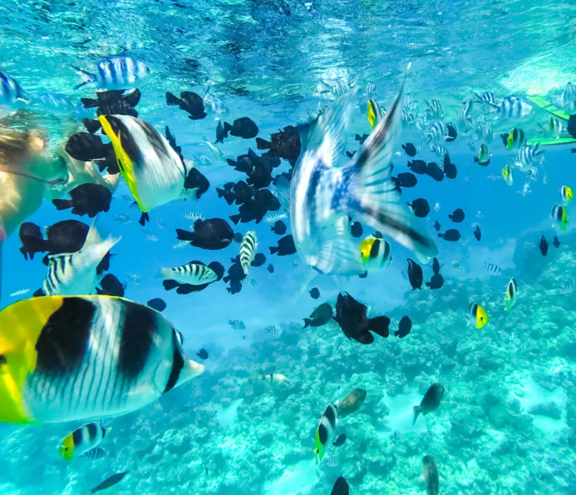 polinesia_francesa_01